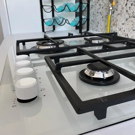 Appartement Przy Ogrodzie Botanicznym - Niemcewicza *