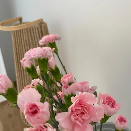 Przy Ogrodzie Botanicznym - Niemcewicza Apartment