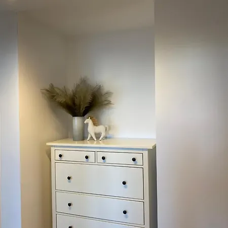 Przy Ogrodzie Botanicznym - Niemcewicza Bydgoszcz