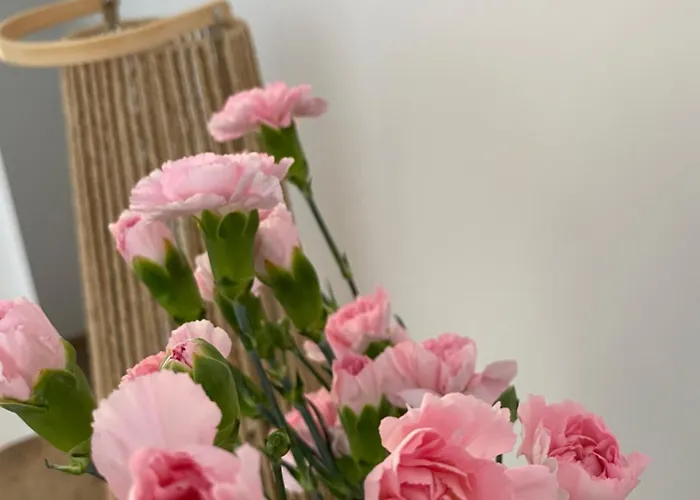 Przy Ogrodzie Botanicznym - Niemcewicza Apartment